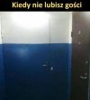 Wszyscy won
