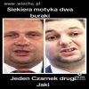 PiS PiS 