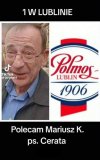 Polecają się nawzajem ...