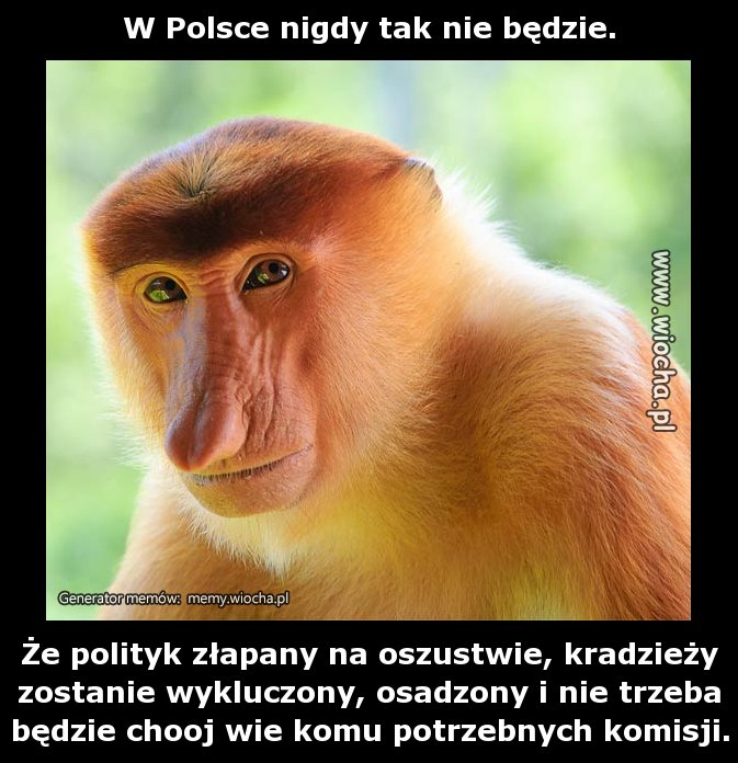 W Polsce nigdy tak nie będzie.