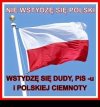 Dokładnie tak.