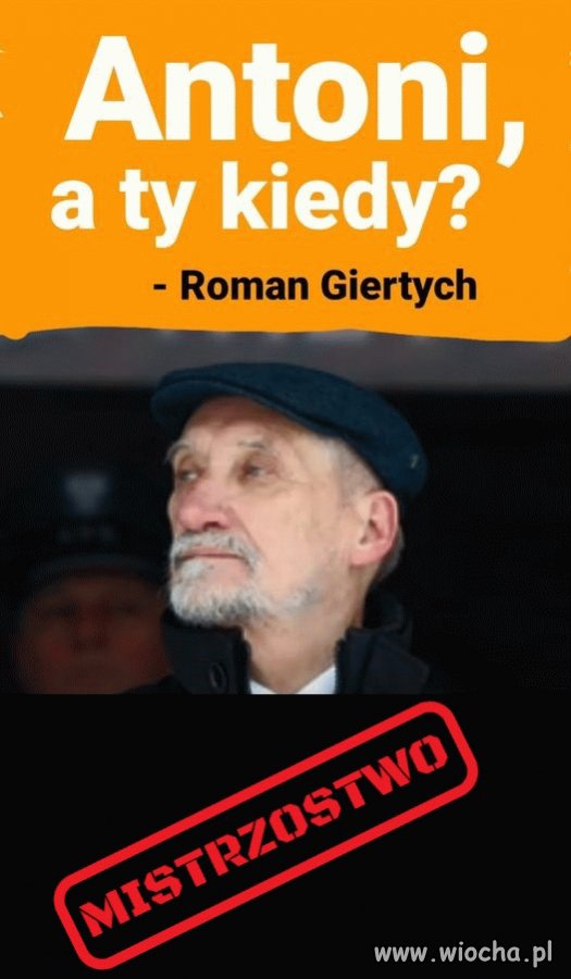 Antek czas na ciebie