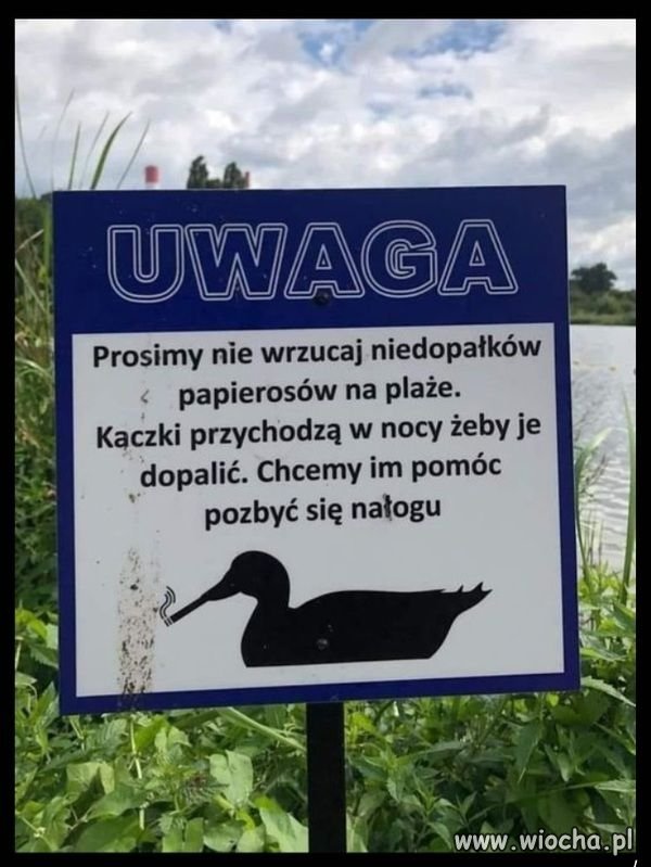 Jasny przekaz.