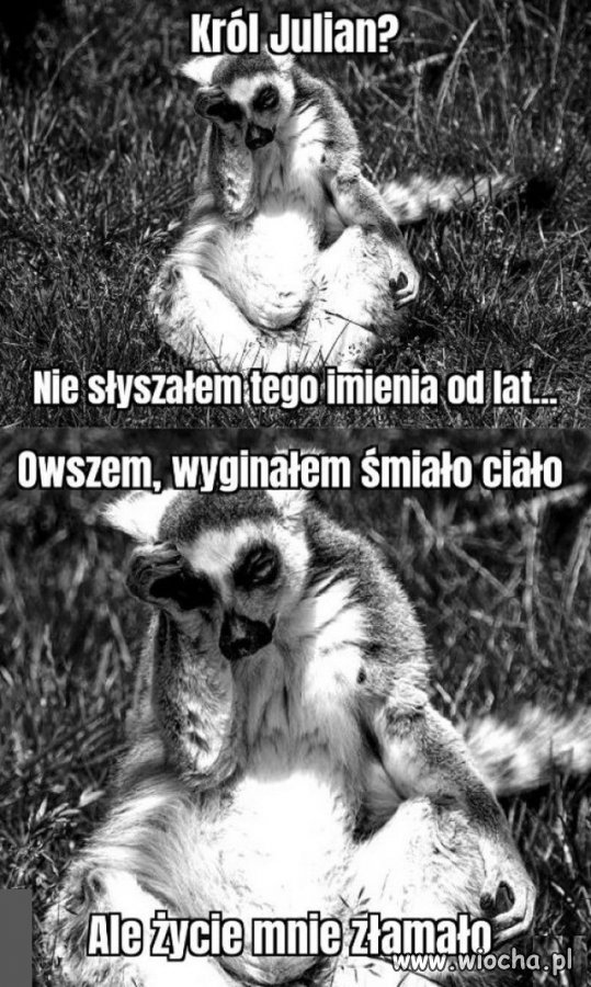 Wyginał śmiało ciało