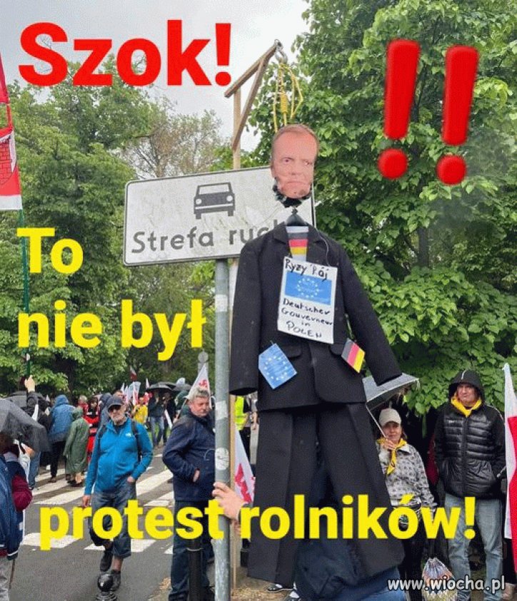 Tymczasem na pewnym proteście