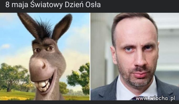 Czy wiesz, że ...