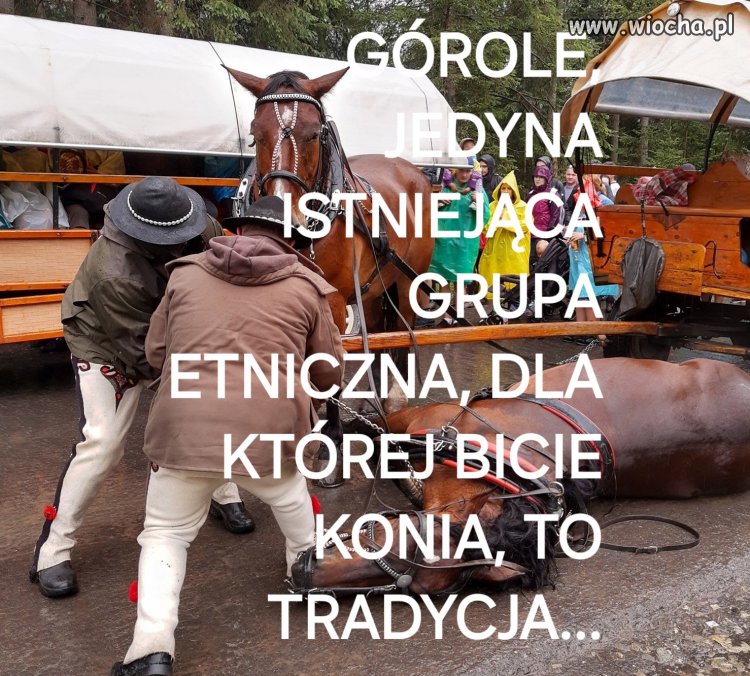 A za dutki, to górole nawet własną rodzinę