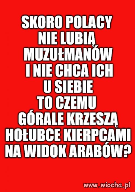 Kolega pytał