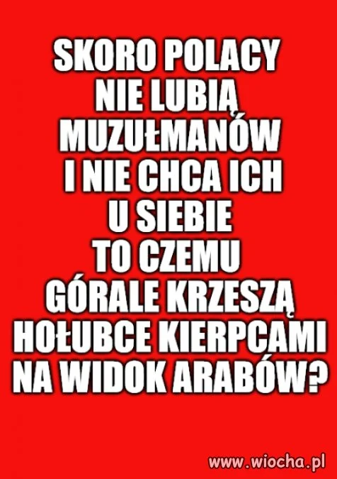 Kolega pytał