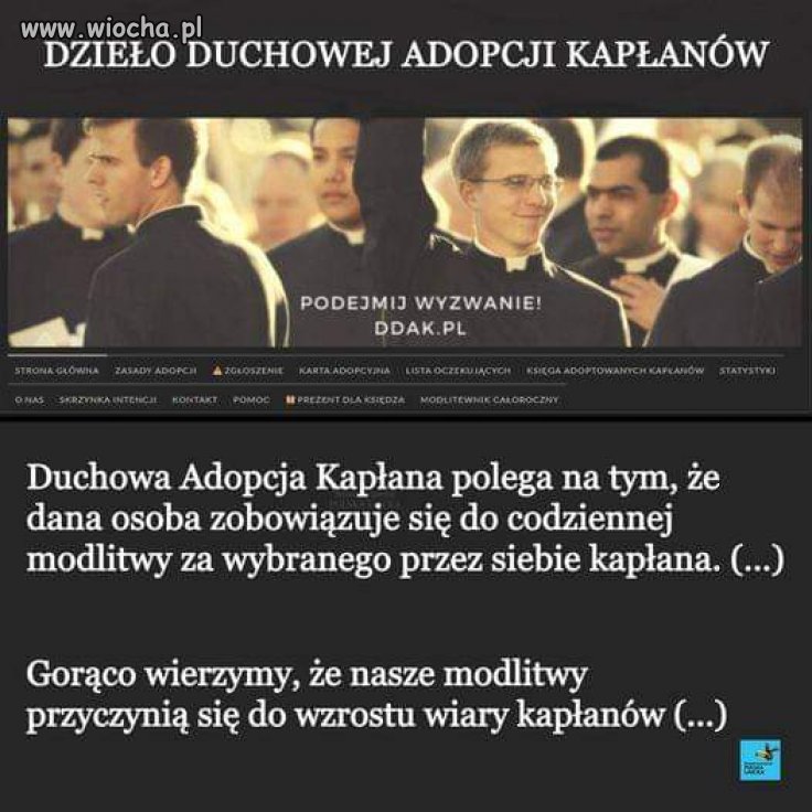 A czy pary jednopłciowe też mogą adoptować kapłana?