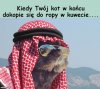 Kot Prezesa może co najwyżej