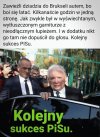 Sukces goni sukces
