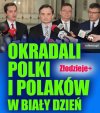 Złodziejskie nasienie