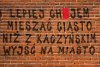 Nie próbowałbym nic z tych rzeczy ...