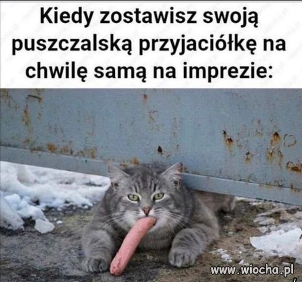 Gruba pijesz?