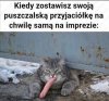 Gruba pijesz?