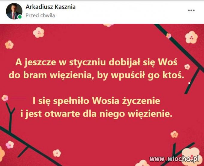 Wosiu, już teraz areszt stoi przed tobą otworem ..