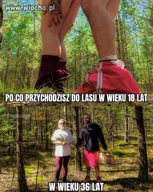 Bez przesady...