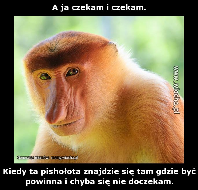 A ja czekam i czekam.