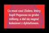 Tylko to tu zostawię