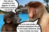 Wakacje, Egipt, woda i piasek