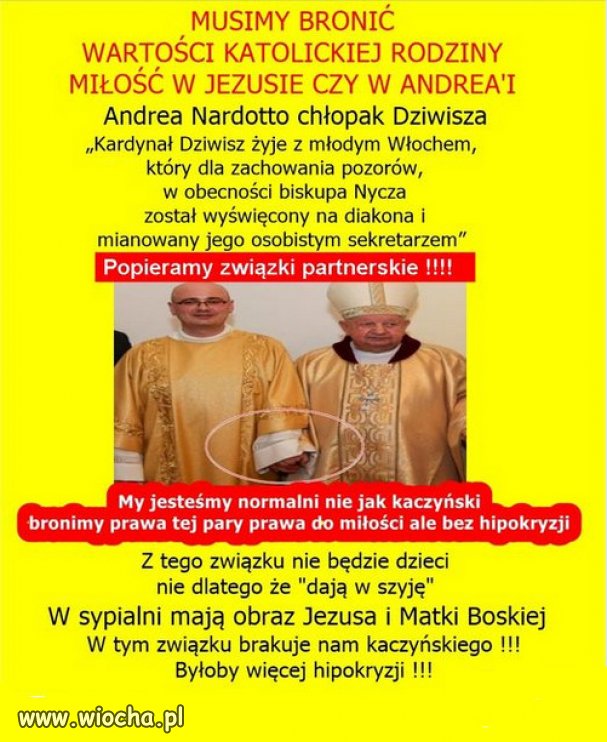 Kapłaństwo staje się zawodem gejowskim...