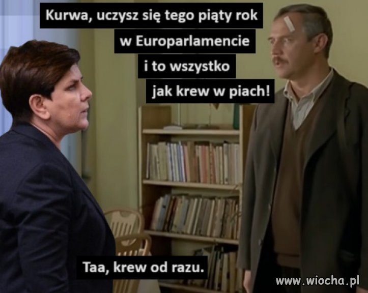 Oborowa z brocha, duma hołoty PiSu w Europie...
