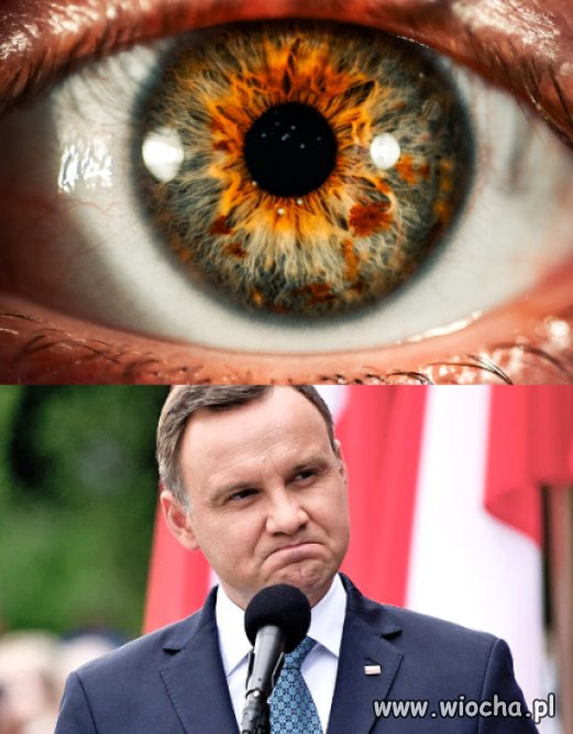 Rebus monotematyczny