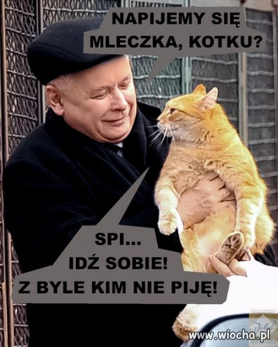 Jego kot ma więcej godności niż on ...