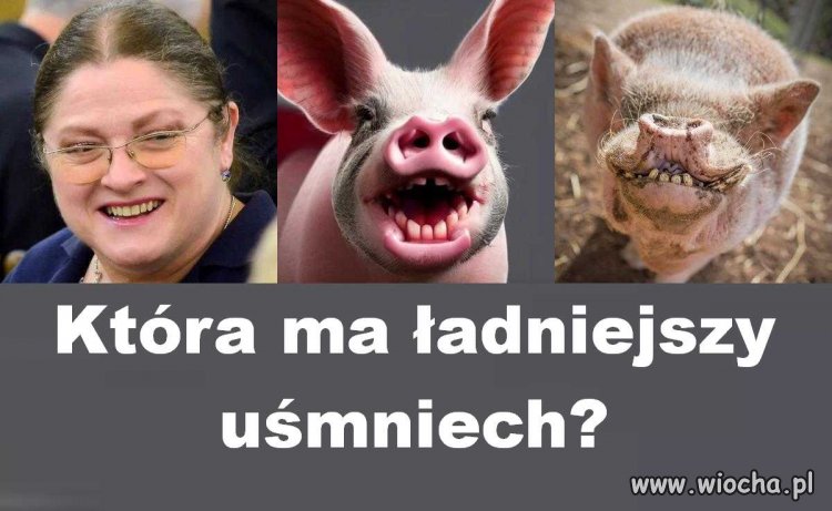 Oceń sam