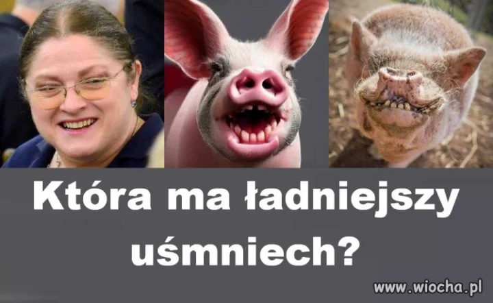 Oceń sam