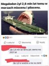 Wyjaśnione.