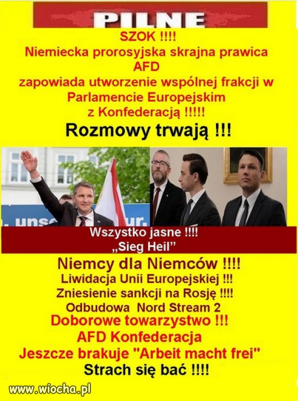 Doborowe towarzystwo !!! AFD Konfederacja 