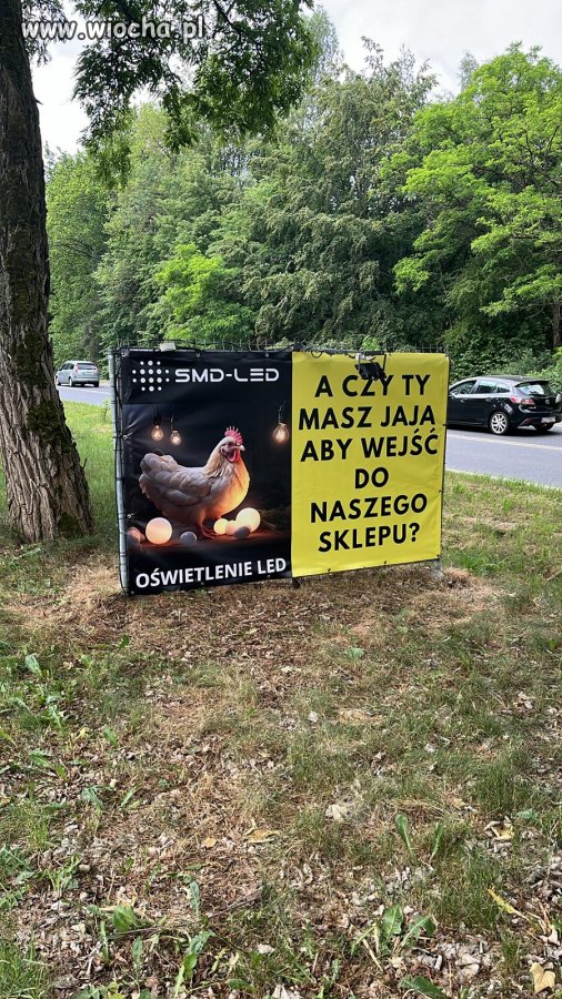Ciekawe co się dzieje w tym sklepie?