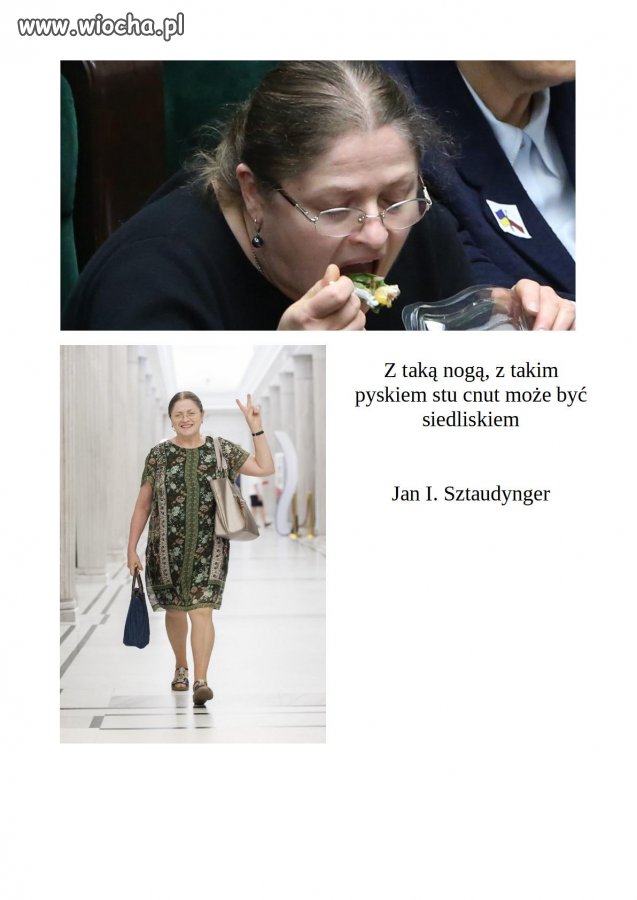 Znowu poezja