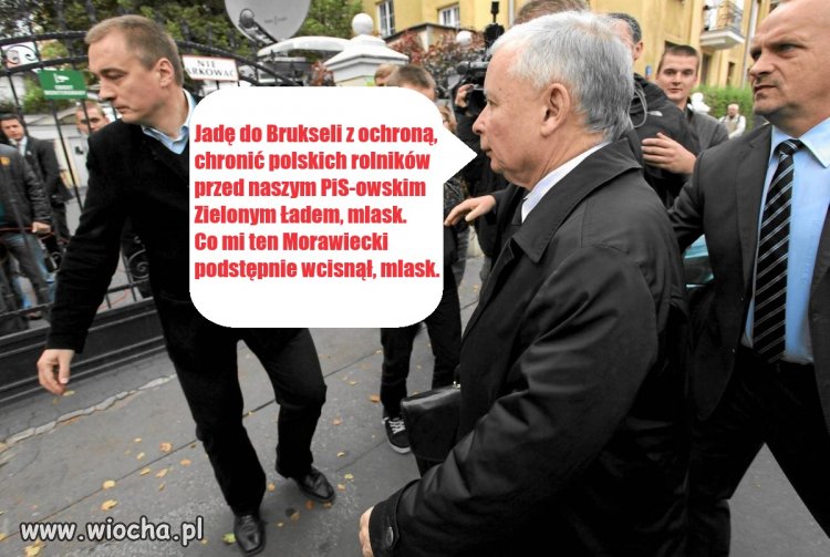 Bezzębny gnom.