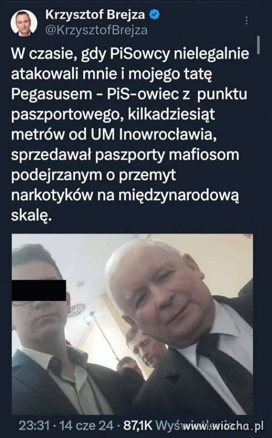Pisowska mafia