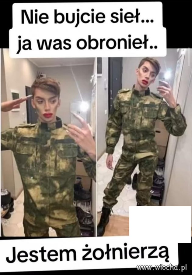 Wojska postępowo- lewicowe 