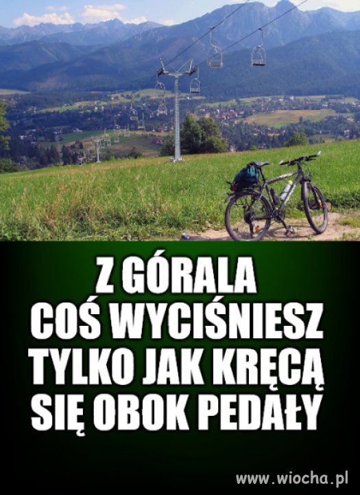 Zbierający na tacę to wiedzą