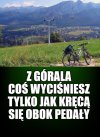 Zbierający na tacę to wiedzą