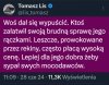 W punkt