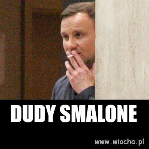 Wygląda jak pół dudy zza krzaka