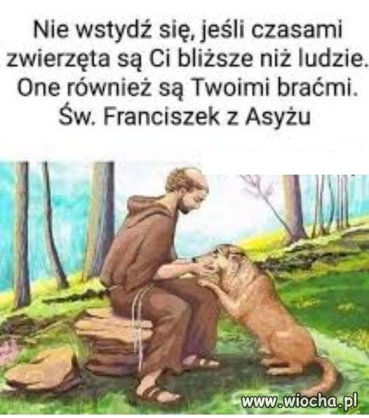 ...wcale się tego nie wstydzę