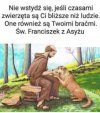 ...wcale się tego nie wstydzę