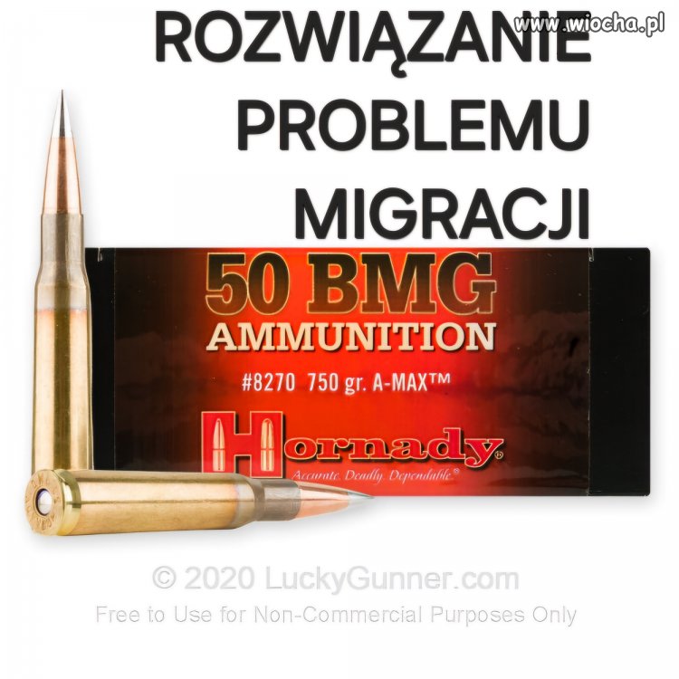 Rozwiązanie problemu migracji. 