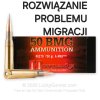 Rozwiązanie problemu migracji. 