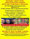 "Sedziowie" Mafii PiSu!
