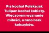Tak było ...