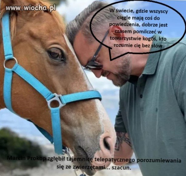 Halo, czy konie mnie słyszą ?
