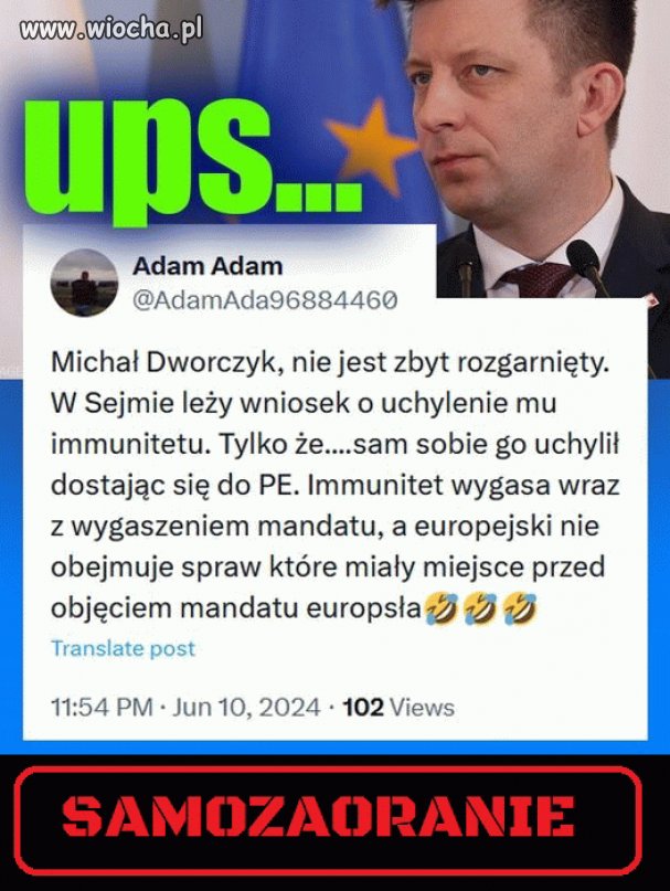 Pisowski idiota